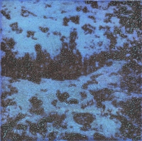 Punta Morena I, Variation 16, viscosity-printed etching, 7 x 7", 2004