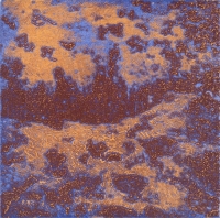 Punta Morena I, Variation 15, viscosity-printed etching, 7 x 7", 2004