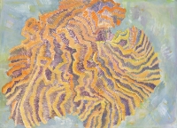 Coral I, gouache, 10 1/4 x 14 1/8", 2014
