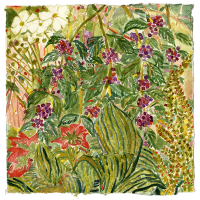 Heather Garden XII, watercolor, 8 1/2 x 8 1/2", 2017