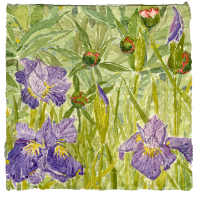 Heather Garden XIX, watercolor, 8 1/2 x 8 1/2", 2018
