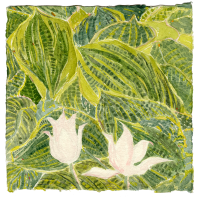 Heather Garden XVIII, watercolor, 8 1/2 x 8 1/2", 2018