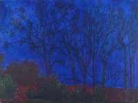 Ellis Hollow Night II, oil on panel, 18 x 24", 2002
