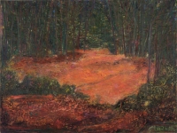 Appalachian Trail, North Carolina, oil on panel, 12 x 16", 2000