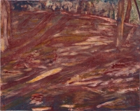 Red Wing Shadows I, monotype, 10 1/8 x 12 7/8", 2003