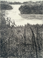 Marshlands, Jamaica Bay, etching, 8 x 6", 2000