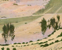 El Rio Aguas (grande), oil on panel, 16 x 20", 2001