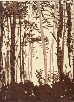 Appalachian Trail, North Carolina, etching, chine colle, 8 x 6", 2000