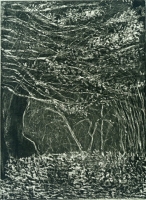 Rambles, Central Park, etching, 8 x 6", 2000