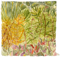Heather Garden III, watercolor, 8 1/2 x 8 1/2", 2017